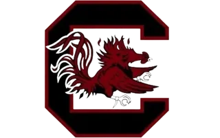 rs=w_320,h_200,cg_true Red rooster emblem inside a large "C".